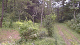 長野県菅平高原 ゆたか山荘 坂上 2026/09/06 16:00