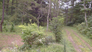 長野県菅平高原 ゆたか山荘 坂上 2026/09/06 16:15