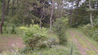 長野県菅平高原 ゆたか山荘 坂上 2026/09/06 16:45