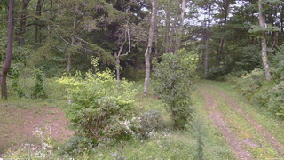 長野県菅平高原 ゆたか山荘 坂上 2026/09/06 17:00