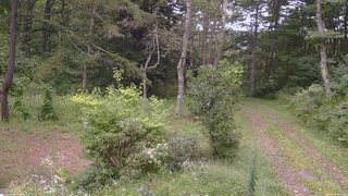 長野県菅平高原 ゆたか山荘 坂上 2026/09/06 17:15