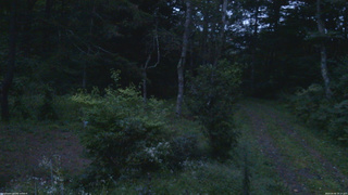 長野県菅平高原 ゆたか山荘 坂上 2026/09/06 18:15