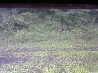 長野県菅平高原 ゆたか山荘 東側(坂下) 2026/09/07 11:00