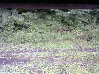 長野県菅平高原 ゆたか山荘 東側(坂下) 2026/09/07 12:45