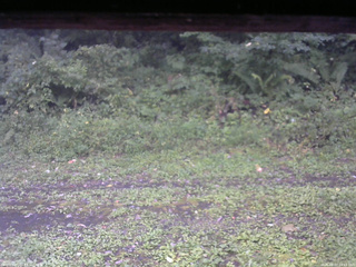 長野県菅平高原 ゆたか山荘 東側(坂下) 2026/09/07 14:15