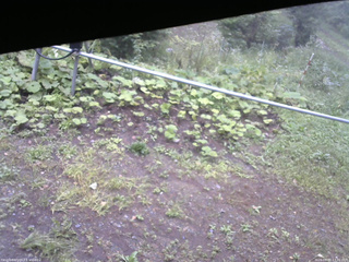 長野県菅平高原 ゆたか山荘 駐車場 2026/09/07 13:30
