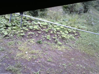 長野県菅平高原 ゆたか山荘 駐車場 2026/09/07 16:45