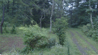 長野県菅平高原 ゆたか山荘 坂上 2026/09/07 05:30