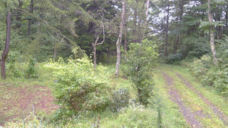 長野県菅平高原 ゆたか山荘 坂上 2026/09/07 07:00