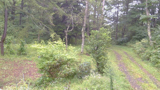 長野県菅平高原 ゆたか山荘 坂上 2026/09/07 07:30