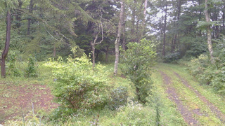 長野県菅平高原 ゆたか山荘 坂上 2026/09/07 07:45
