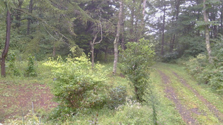 長野県菅平高原 ゆたか山荘 坂上 2026/09/07 08:30