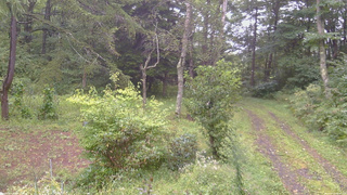 長野県菅平高原 ゆたか山荘 坂上 2026/09/07 08:45