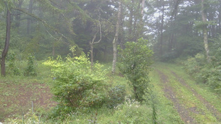 長野県菅平高原 ゆたか山荘 坂上 2026/09/07 09:00