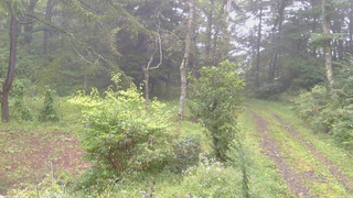 長野県菅平高原 ゆたか山荘 坂上 2026/09/07 09:15