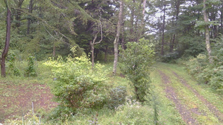 長野県菅平高原 ゆたか山荘 坂上 2026/09/07 10:00