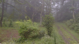 長野県菅平高原 ゆたか山荘 坂上 2026/09/07 11:00