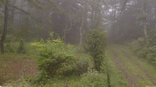 長野県菅平高原 ゆたか山荘 坂上 2026/09/07 12:00