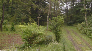 長野県菅平高原 ゆたか山荘 坂上 2026/09/07 12:15