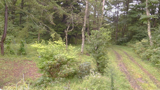 長野県菅平高原 ゆたか山荘 坂上 2026/09/07 12:45