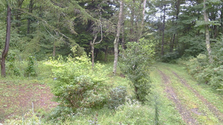 長野県菅平高原 ゆたか山荘 坂上 2026/09/07 13:00