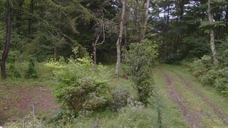 長野県菅平高原 ゆたか山荘 坂上 2026/09/07 15:15