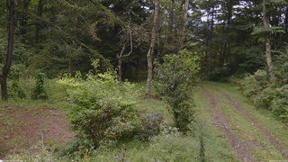 長野県菅平高原 ゆたか山荘 坂上 2026/09/07 16:15