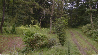 長野県菅平高原 ゆたか山荘 坂上 2026/09/07 16:30