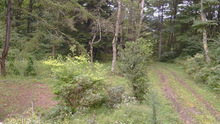 長野県菅平高原 ゆたか山荘 坂上 2026/09/07 17:15