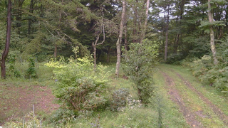 長野県菅平高原 ゆたか山荘 坂上 2026/09/07 17:30