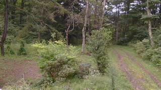 長野県菅平高原 ゆたか山荘 坂上 2026/09/07 17:45