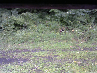 長野県菅平高原 ゆたか山荘 東側(坂下) 2026/09/08 09:15