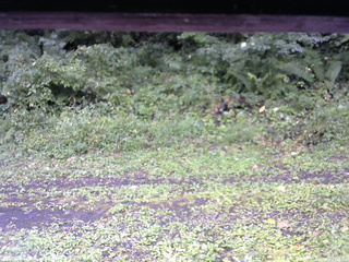 長野県菅平高原 ゆたか山荘 東側(坂下) 2026/09/08 11:15