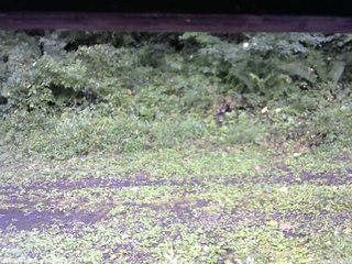 長野県菅平高原 ゆたか山荘 東側(坂下) 2026/09/08 11:30