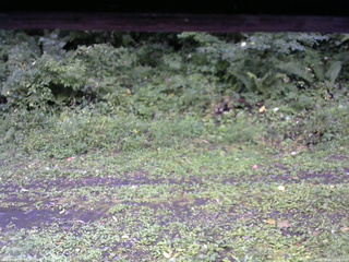 長野県菅平高原 ゆたか山荘 東側(坂下) 2026/09/08 15:00
