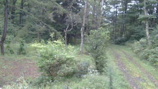長野県菅平高原 ゆたか山荘 坂上 2026/09/08 05:30