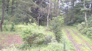 長野県菅平高原 ゆたか山荘 坂上 2026/09/08 05:45