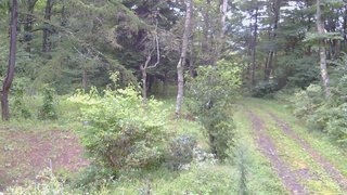 長野県菅平高原 ゆたか山荘 坂上 2026/09/08 06:00