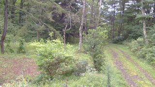 長野県菅平高原 ゆたか山荘 坂上 2026/09/08 06:15