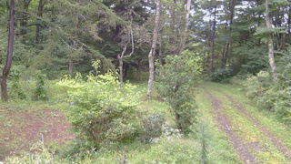 長野県菅平高原 ゆたか山荘 坂上 2026/09/08 06:30