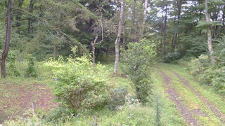 長野県菅平高原 ゆたか山荘 坂上 2026/09/08 06:45