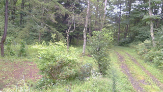 長野県菅平高原 ゆたか山荘 坂上 2026/09/08 07:00