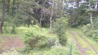 長野県菅平高原 ゆたか山荘 坂上 2026/09/08 07:15