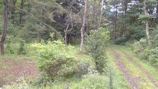 長野県菅平高原 ゆたか山荘 坂上 2026/09/08 07:30