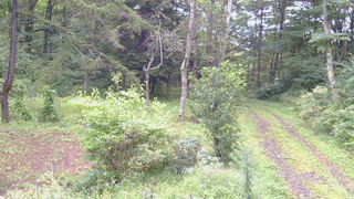 長野県菅平高原 ゆたか山荘 坂上 2026/09/08 07:45