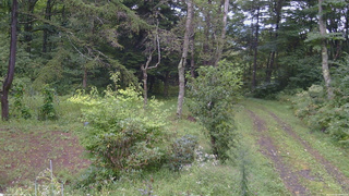 長野県菅平高原 ゆたか山荘 坂上 2026/09/08 08:00