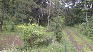 長野県菅平高原 ゆたか山荘 坂上 2026/09/08 08:15
