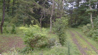 長野県菅平高原 ゆたか山荘 坂上 2026/09/08 08:30