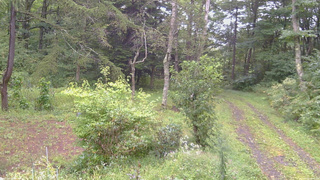 長野県菅平高原 ゆたか山荘 坂上 2026/09/08 08:45