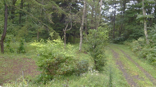 長野県菅平高原 ゆたか山荘 坂上 2026/09/08 09:00